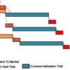 Thumbnail of the Hybrid Hazelnut Commercialization Timeline.