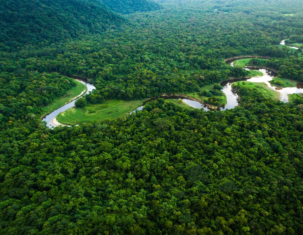 Aerial view of the Atlantic Forest in Brazil, showcasing a winding river surrounded by lush greenery.