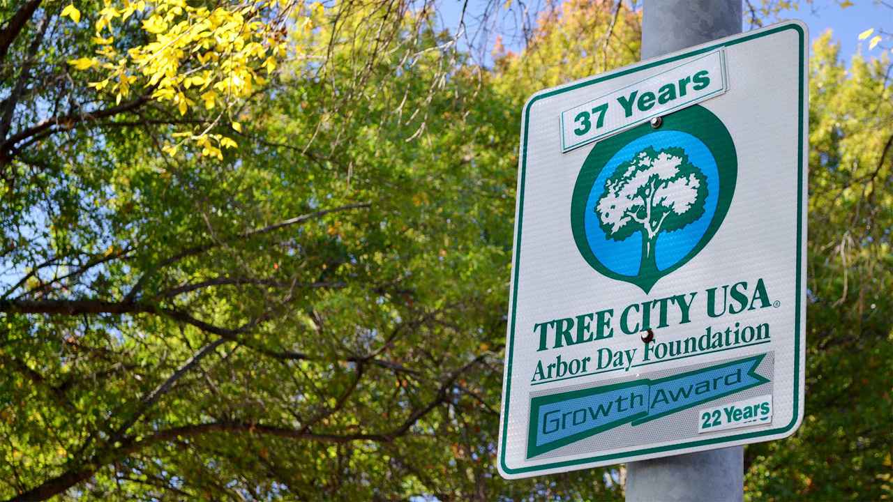 a Tree City USA Community The Arbor Day Foundation