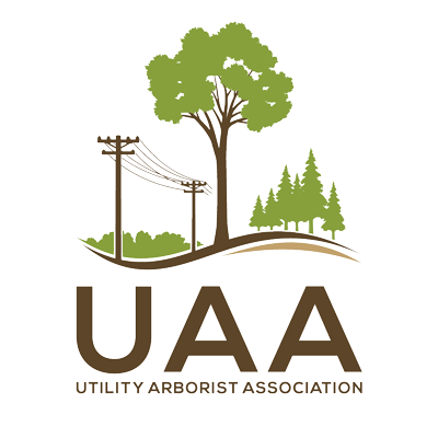 Tree Line USA | Arbor Day Foundation | Trees and Utilities working together