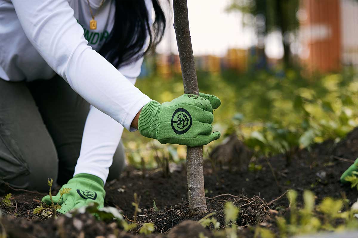 Arbor Day Gardening Gloves - Arbor Day Foundation