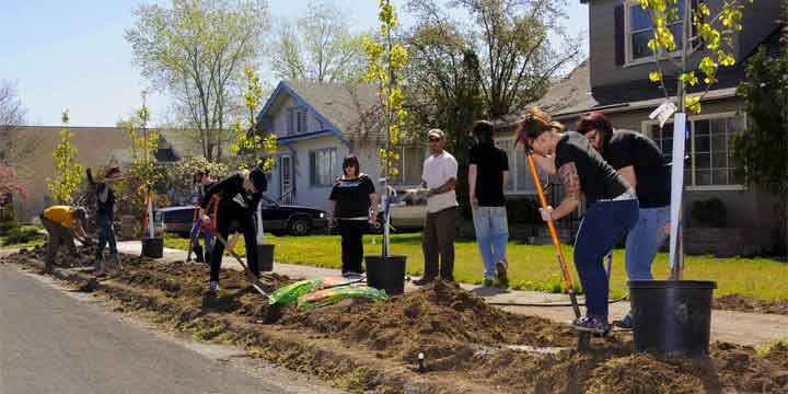 Benefits of Trees | Faces of Urban Forestry | arborday.org