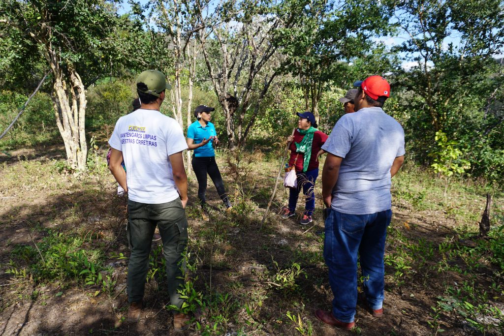 Media Name: 7-Farmer-training-workshop-1024x683.jpg