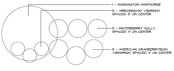 Bird-Layout