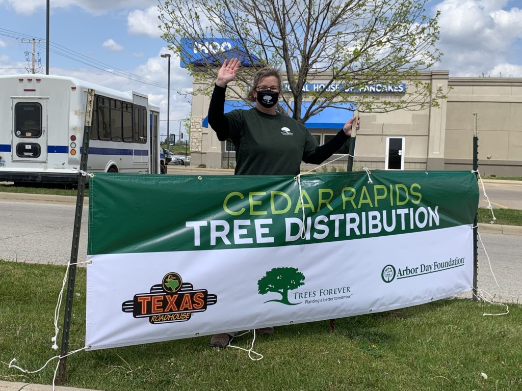 Cedar Rapids tree distribution