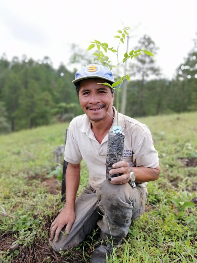 Media Name: Farmer-Mauricio-Maradiaga-Gonzales_Community-Zurzular_Municipality-Macuelizo-1-768x1024.jpg