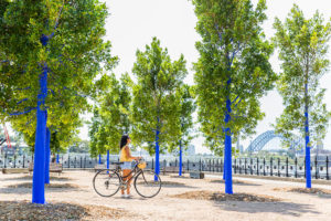 Pirrama Park, Pyrmont - March 05 2016: Rani Nugraha-Putnomo at The Blue Trees installation. (Photo by Nikki To/City of Sydney)