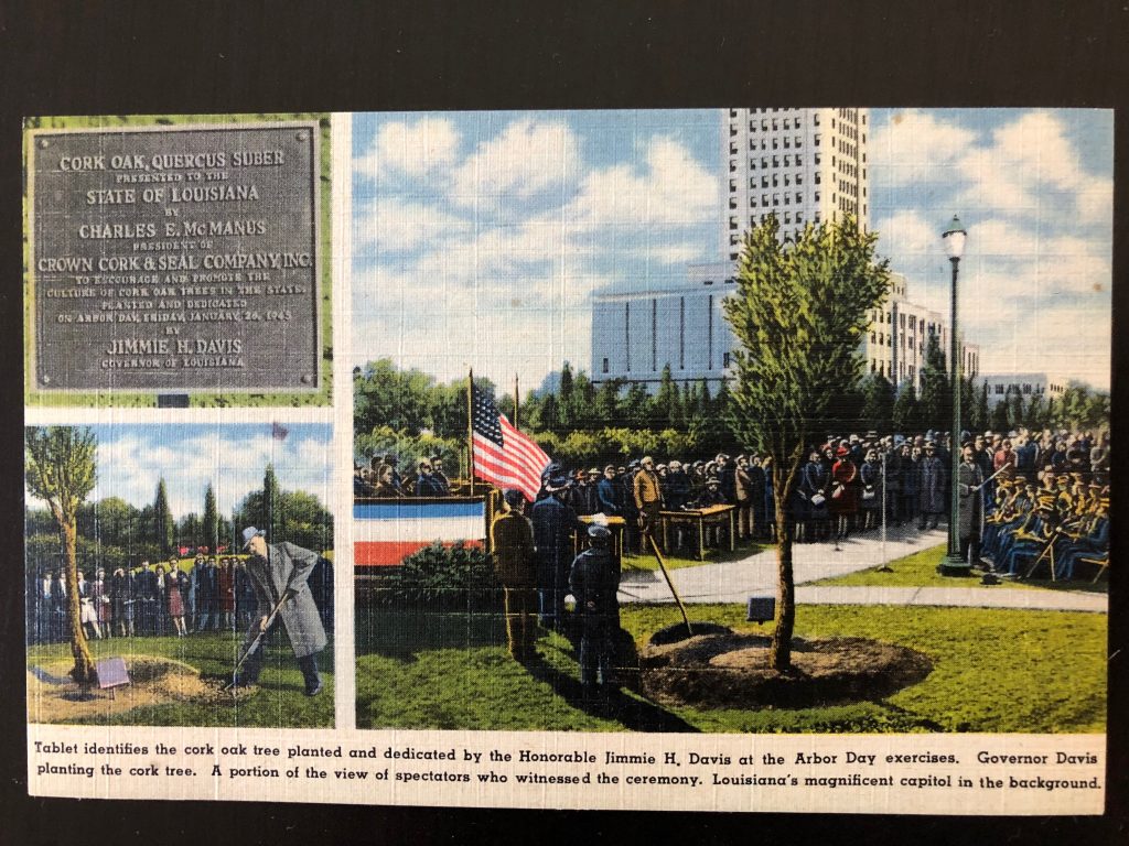 Media Name: Louisiana_Arbor_Day_postcard_1945-1-1024x768.jpg