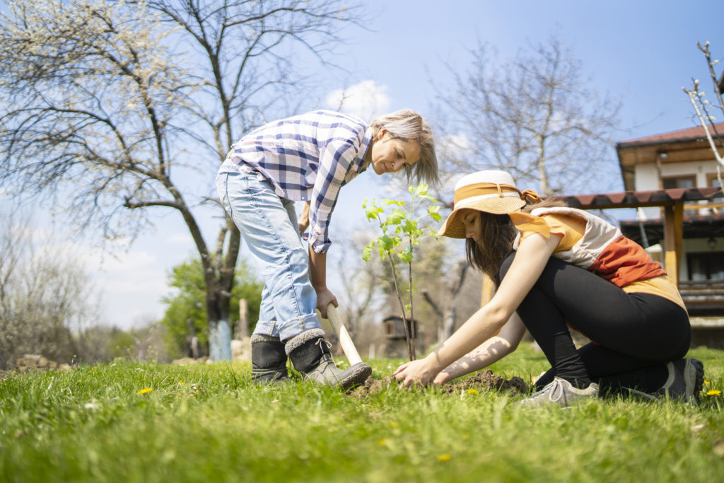 mother and daughter planting a small tree in a yard