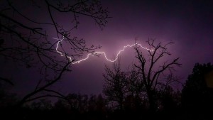 sky lightning tree