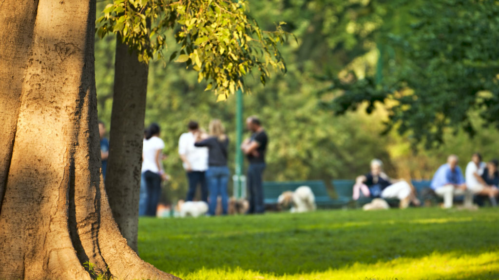 Media Name: tree-people-bacground-iStock-184941254-1024x576.jpg