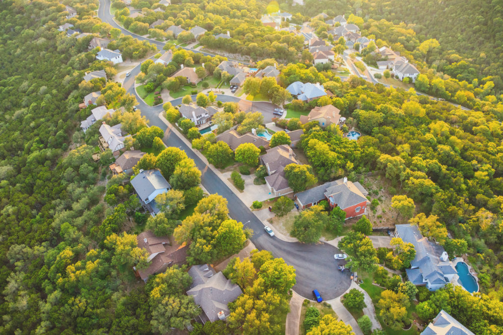 Media Name: urban-trees-1024x683.jpg