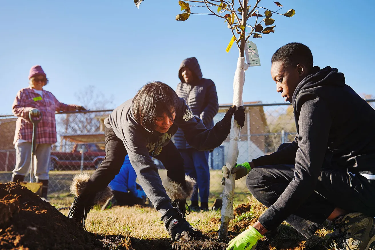 people planting trees