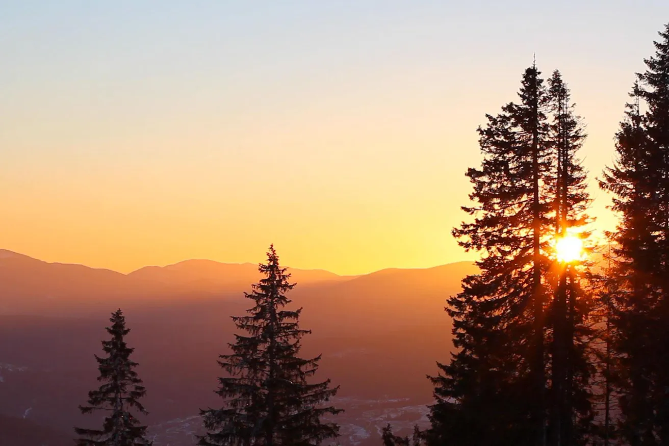 Media Name: hero-hazy-mountain-with-forest-silhouette-sunset.jpg