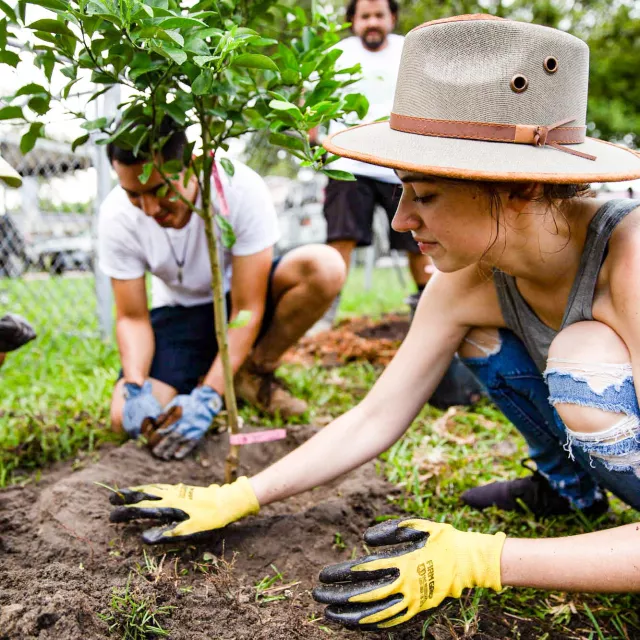 a group of people planting a tree.