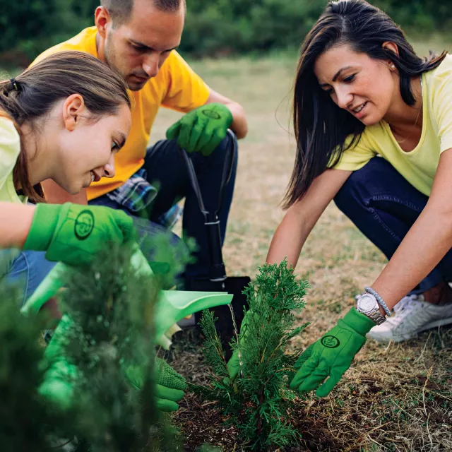 a group of people watering a plant.