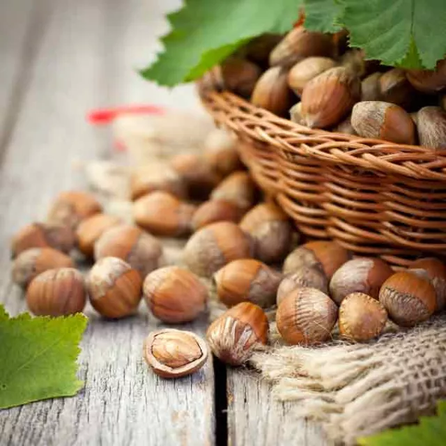 hazelnuts in a basket.