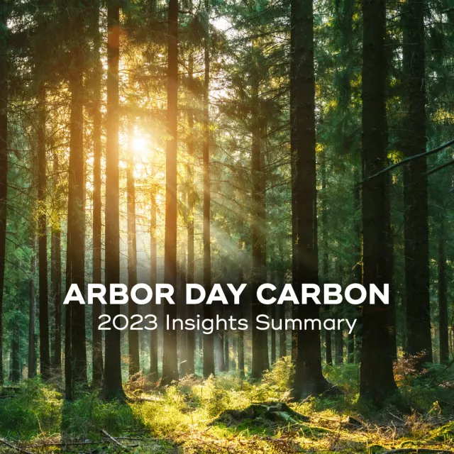 Carbon 2023 insights summary thumbnail