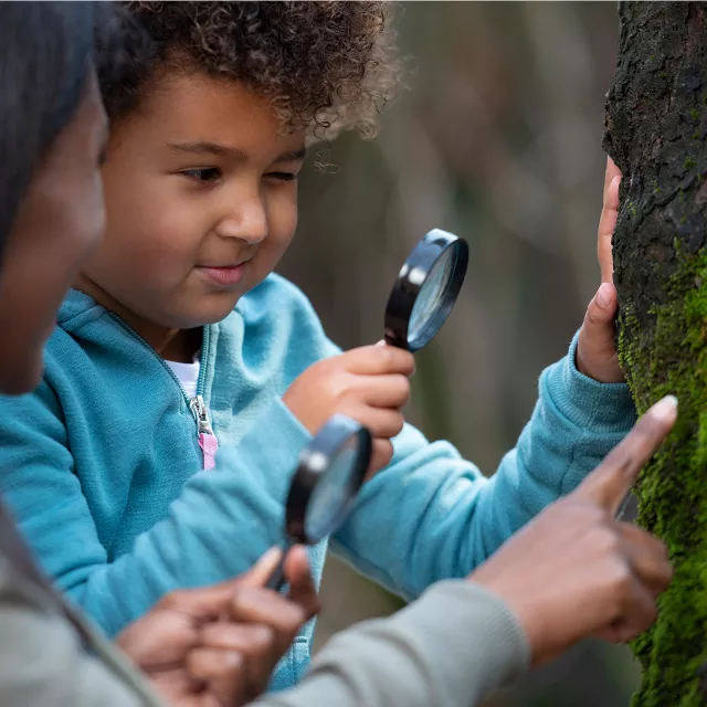 young boy examining tree bark with a magnifying glass.