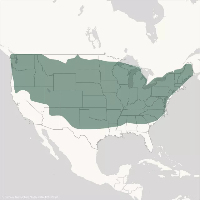 Map showing the expansion of Hazelnuts in the United States. 