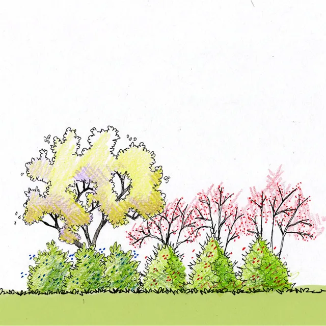 illustration of a hedgerow bird shelter landscape plan