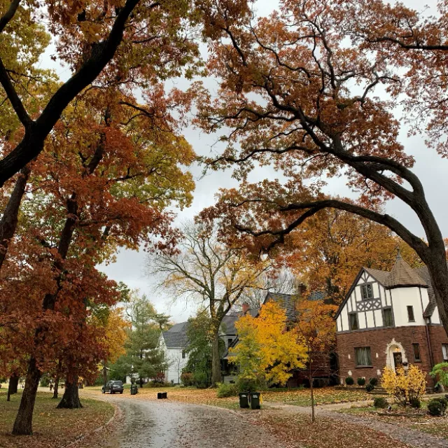 Chicago's Olmstead neighborhood in the fall with tall trees.