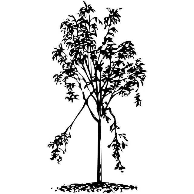 Illustration of a young tree after a storm