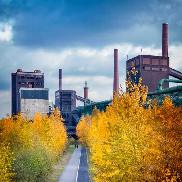 Image of industrial plant with shrubs in the foreground