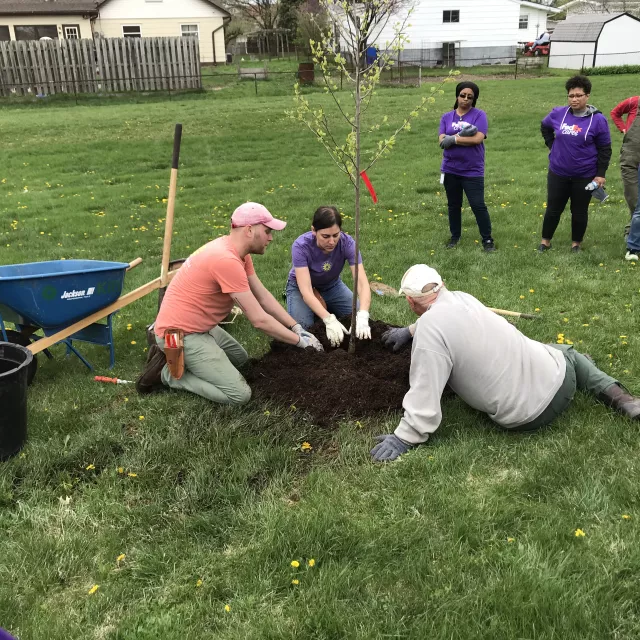 Group of people planting a tree while others watch.