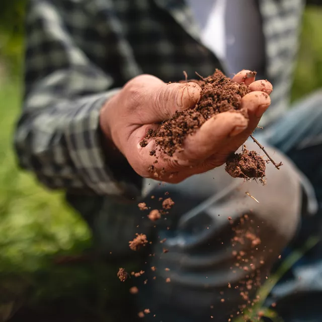 Close-up of a man's hand sifting soil through his fingers.