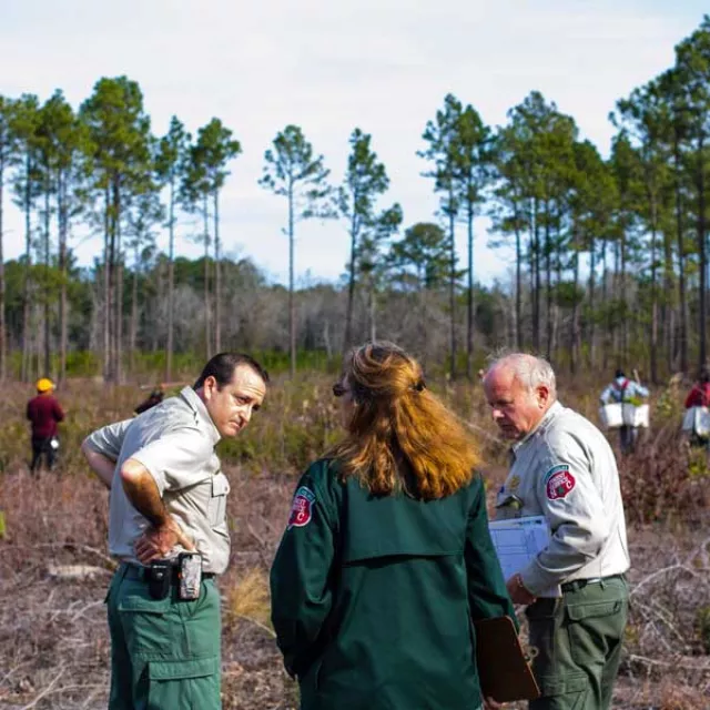 Image of USFS rangers standing in a burnt forest