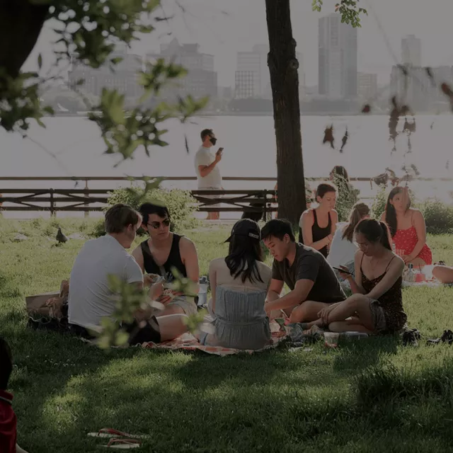 Image of people sitting in a circle in the shade of a tree