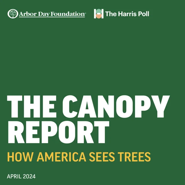 Screenshot of title page of the Canopy Report