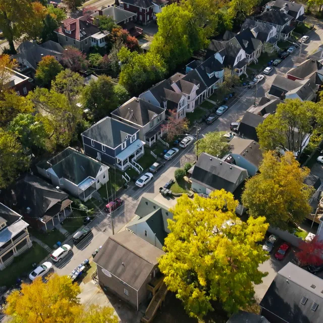 houses surrounded by trees in neighborhood