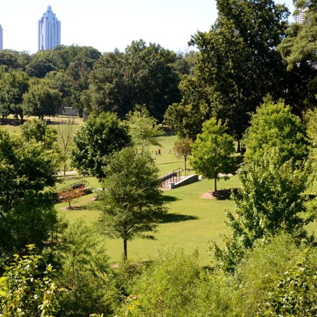 Urban green space with trees