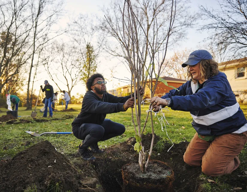 people planting trees