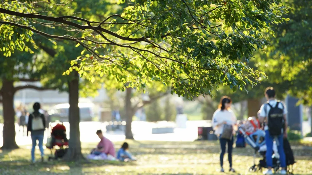 community trees hero