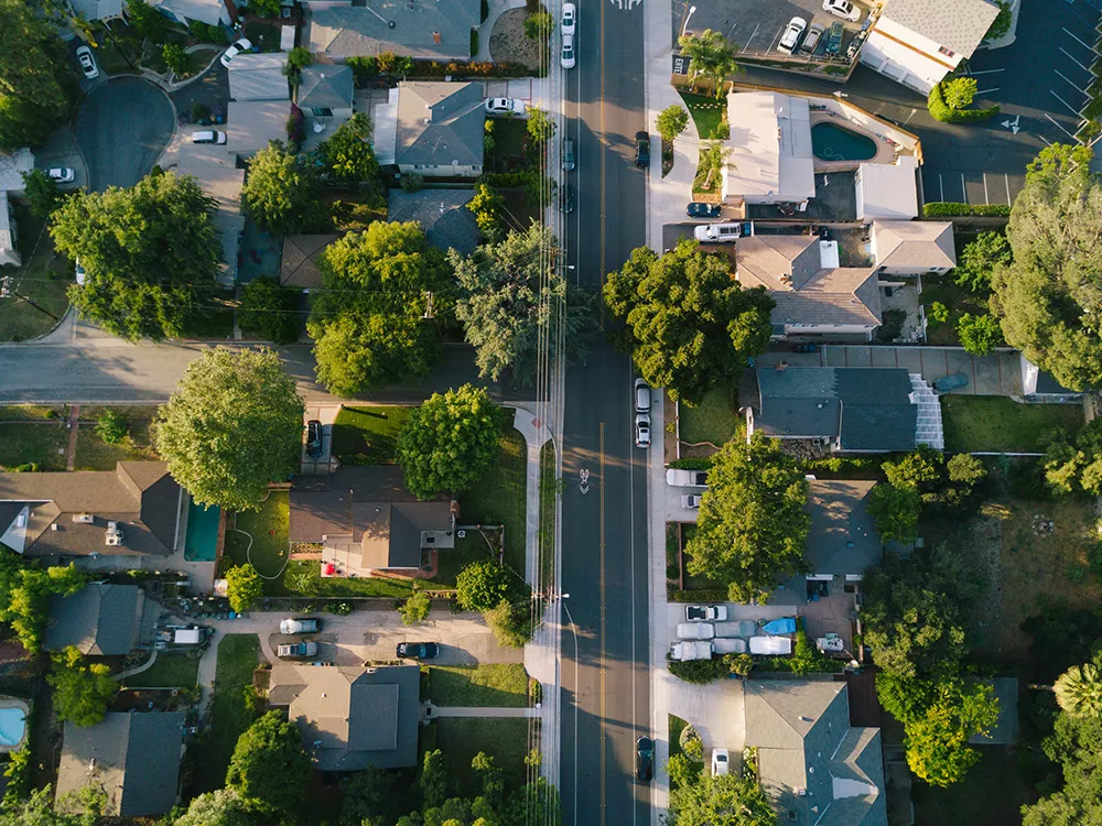 trees in a neighborhood