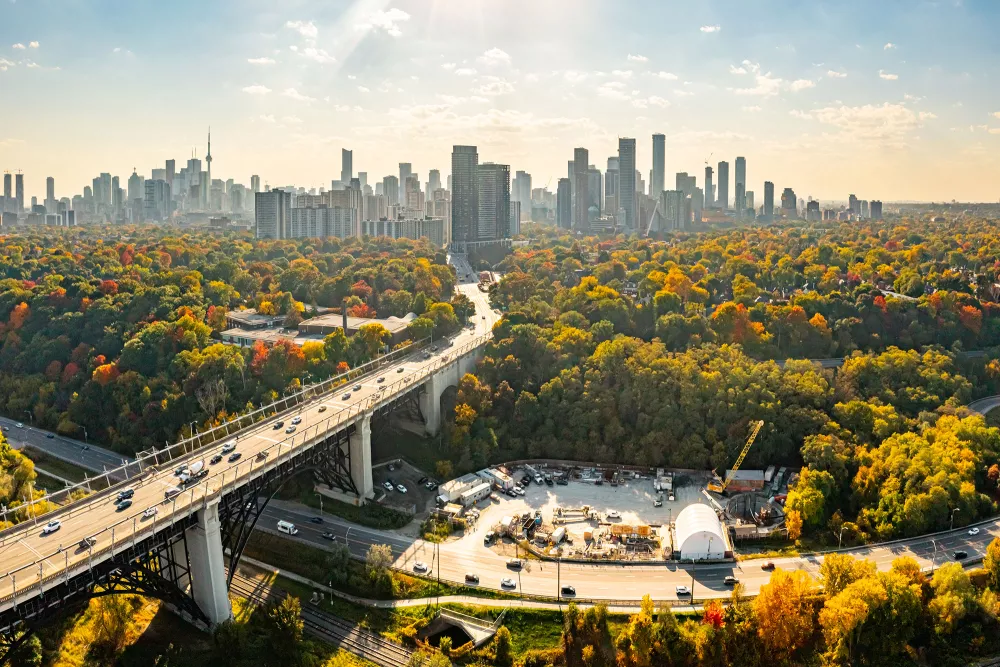 trees in a city with roads and skyscraper in the distance