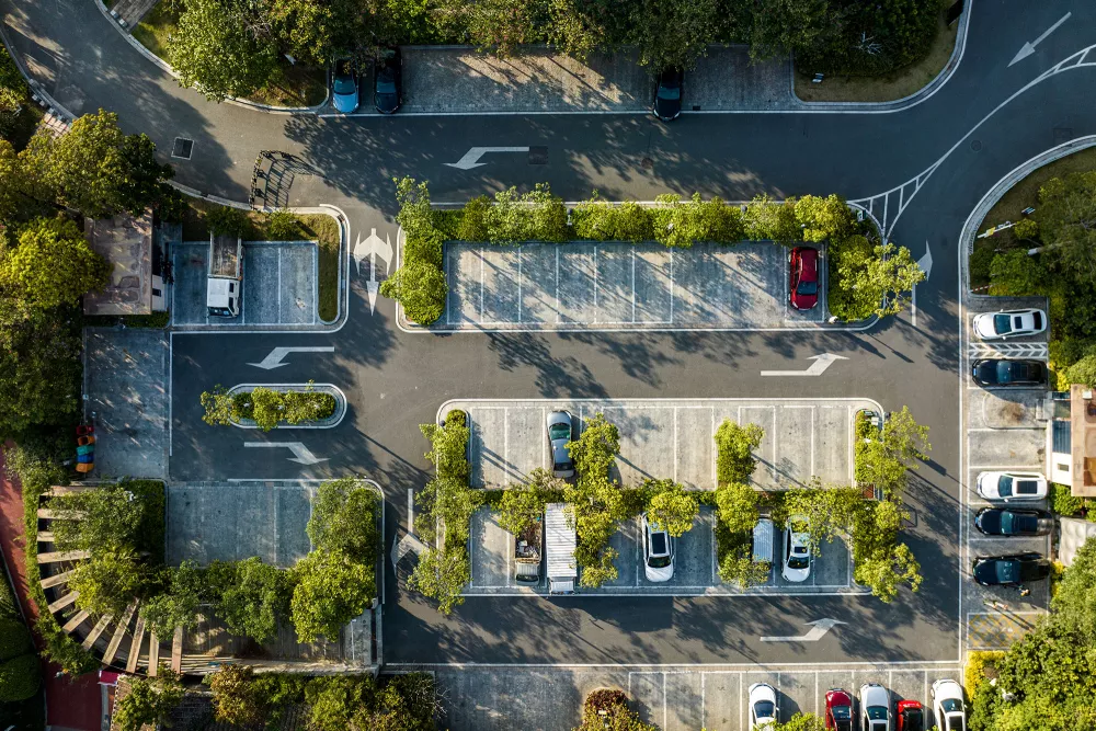 trees planted in a parking lot around cars