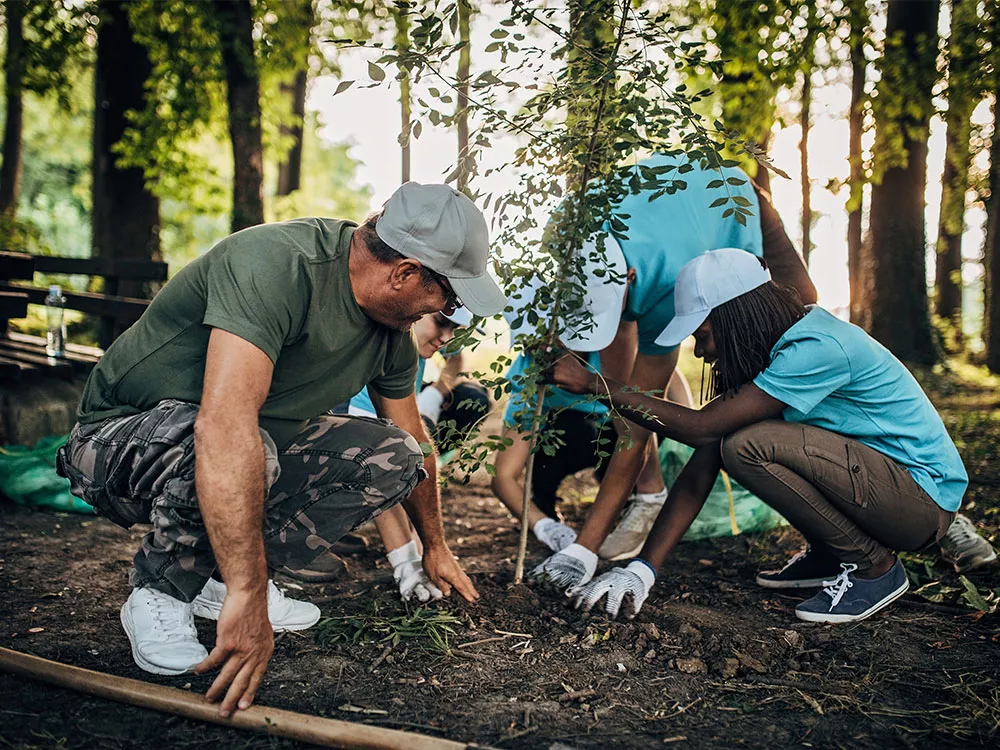 people planting a tree