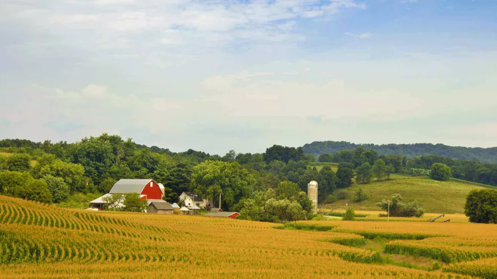 Image of farm with trees and rows of crops