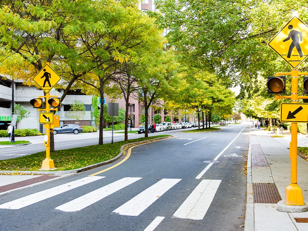 street signs with trees surrounding