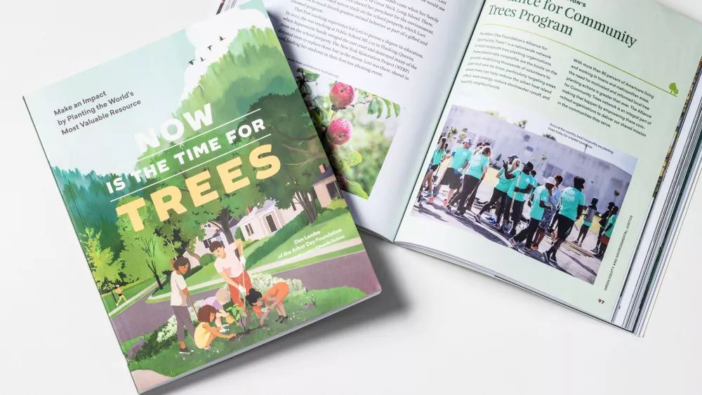 Image of the Now Is the Time for Trees Book