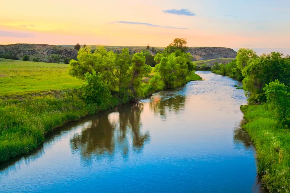 landscape photo of a river surrounded by trees