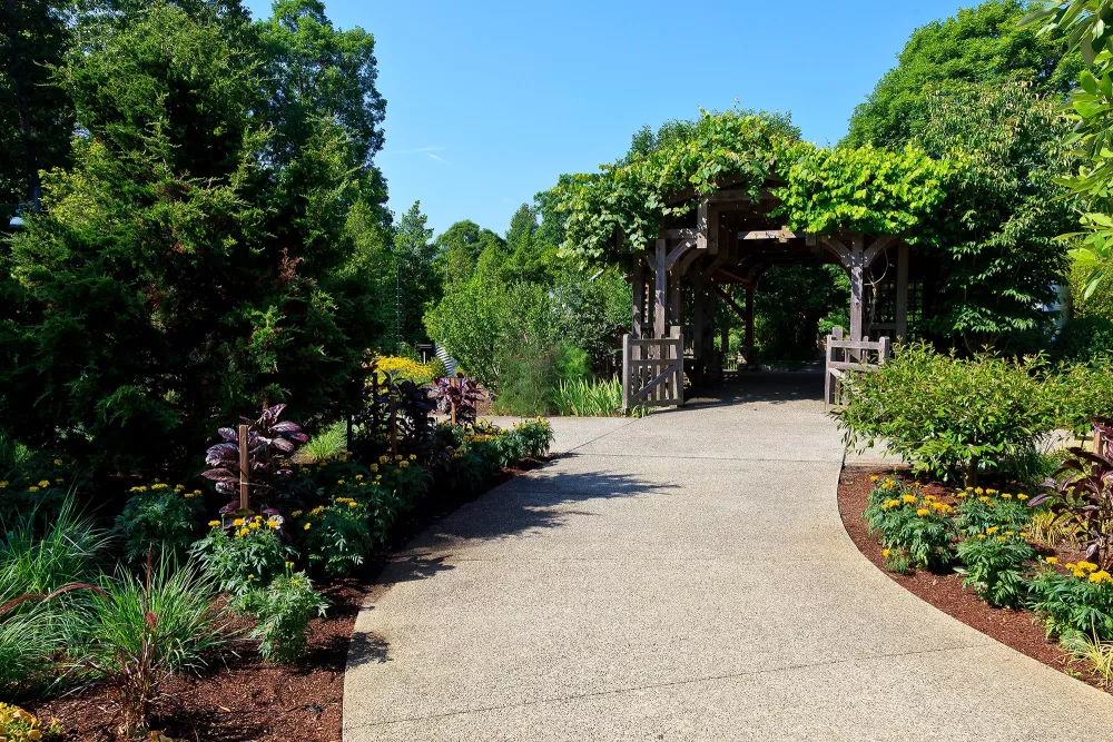 north carolina arboretum