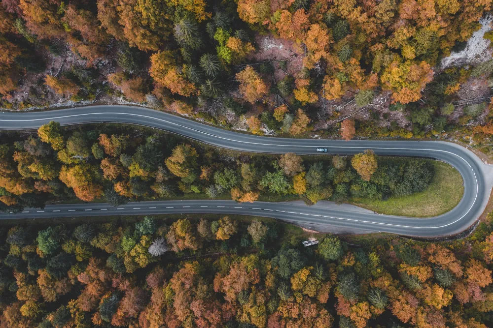 a road wrapping around trees