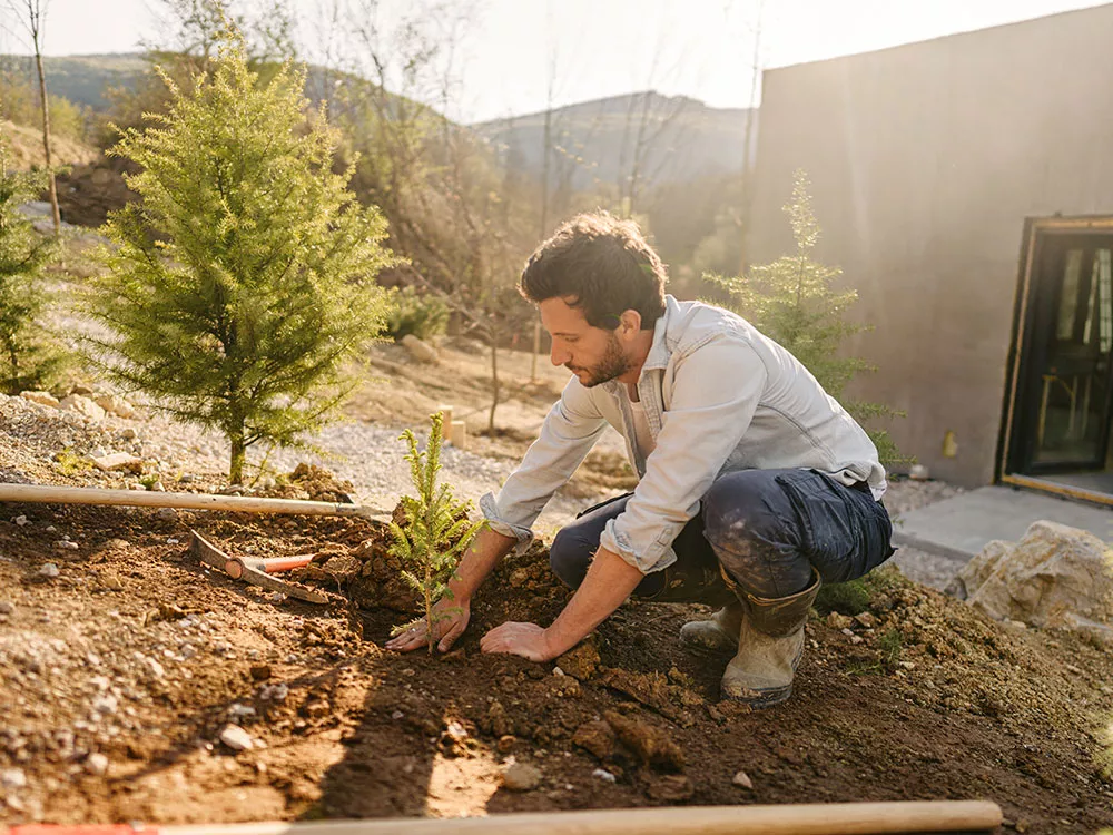 person planting a tree outside of house