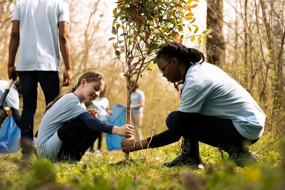 people planting trees