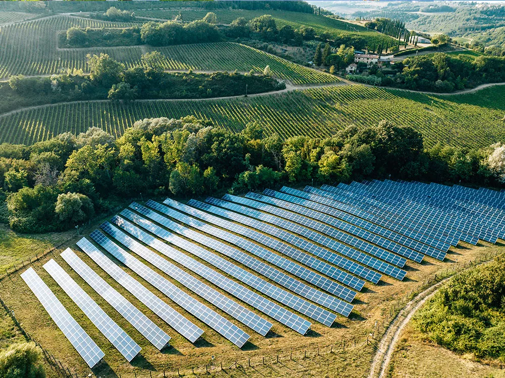 trees and solar panels in a field